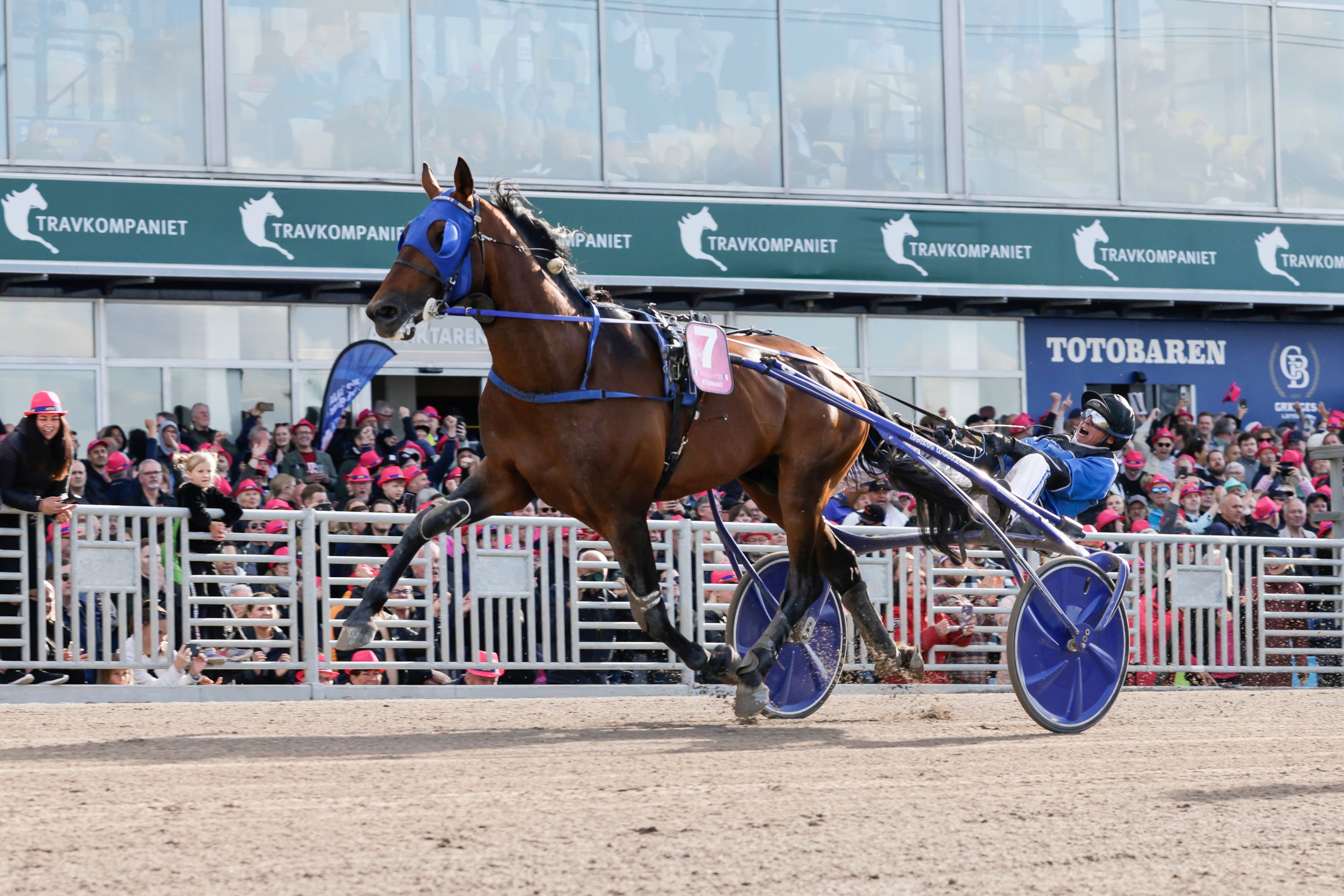 Yonkers International Trot to showcase the world's best Harness